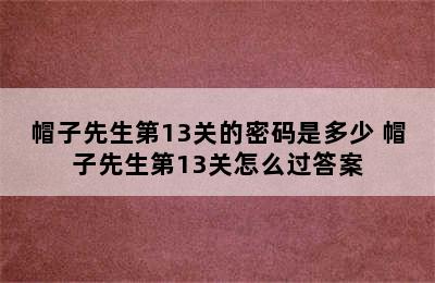 帽子先生第13关的密码是多少 帽子先生第13关怎么过答案